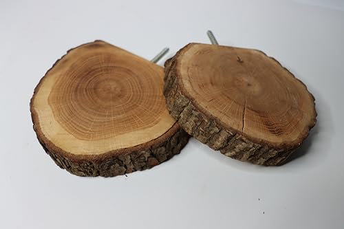 MINI Eichenscheiben, rundes Fach aus massiver Eiche, Naturprodukt im Landhausstil mit Befestigung (Durchmesser 17-20cm)