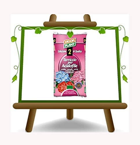 Terriccio per Piante Acidofole – Vigorplant – 45 L per: Azalee, camelie, eriche, ortensie blu, rododendri