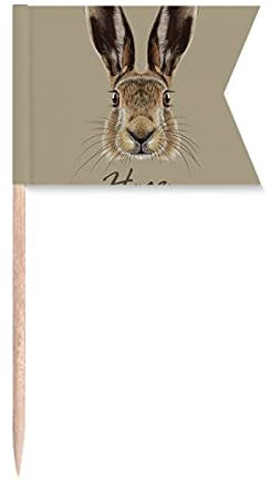 Banderas de palillo de dientes de color gris con nariz grande para etiquetar para fiestas y tartas