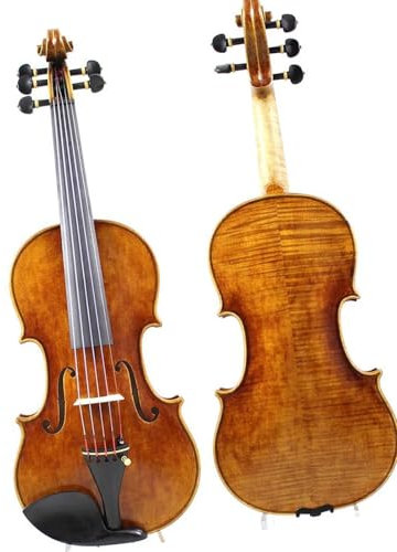 Violino Violino A 5 Corde