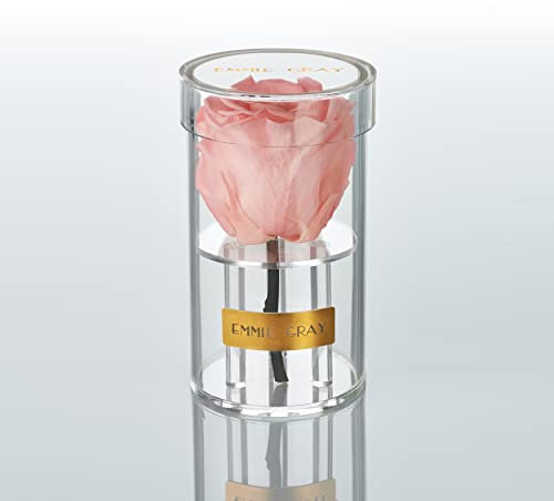 EG EMMIE GRAY Crystal Infinity | Acryl | – Traumhafte Infinity Rose, 1-3 Jahre haltbare Rose, Acrylgefäß mit echter, konservierter Rose, edle Premiumrose (Antique Pink)