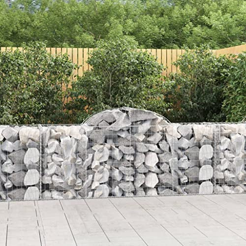 FUDUGEHMIOFWFJJ pflanzkübel mit sichtschutz,pflanzentopf Gross,Gabionen mit Hochbogen 20 STK. 200x50x80/100cm Verzinktes EisenGeeignet für Garten, Terrasse, Schlafzimmer, Wohnzimmer