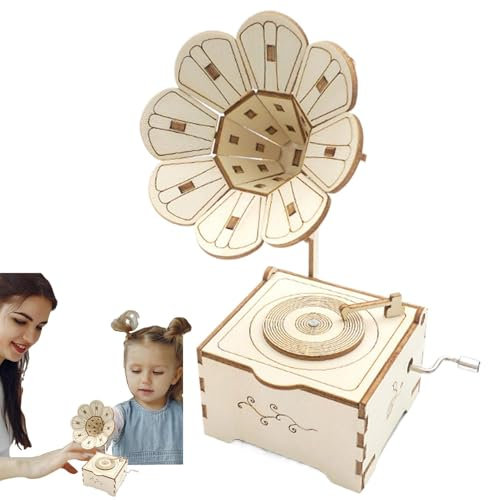 Puzzle gramophone en bois, modèle de boîte à musique en bois - Jouet puzzle avec boîte à musique de table | Jouet de construction de maquettes de gramophones pour instruments de musique, artisanat pe
