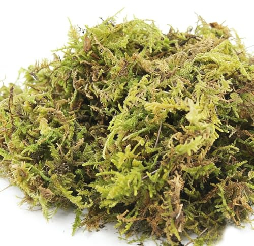 1.1 LBS Artificial Fake Moss,Premium Faux Moss for Fake Plants,Terrariums & Crafts,Natural Green Decorative for Potted Plants,Centerpieces, Forest Scenery,Miniature Gardens and Home Decor(FM-01)