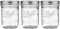 Ball Wide Mouth Glass Mason Jars with Lids and Bands, Used for Canning, Pickling, Juice, Jam, Jelly, Pint Size 16 Ounce (Pack of 3)