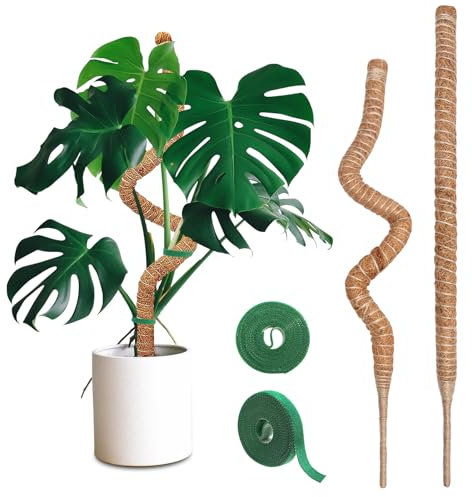 Moss Pole 64 cm/ 122 cm Bendable Moss Poles for Plants 2 Pcs Moss Pole for Monstera Coir Totem Pole for Climbing Plants Support Indoor Plant with Two-Meter Velcro*2 for Potted Plants to Grow Upward