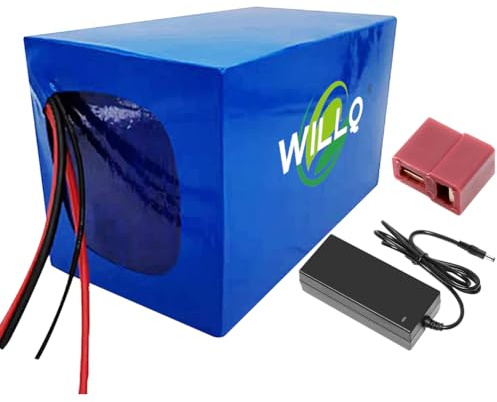 WILLQ Motorcycle Battery 72V 40Ah 30Ah 20Ah Lithium Battery Pack 72 Volts Rechargeable Replacement Parts for Tricycle Golf Kart Motor with BMS,T,72V20Ah