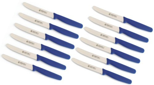 NEUSTANLO 12 Stück Tischmesser PP blau 13 05 03 Menümesser Tafelmesser