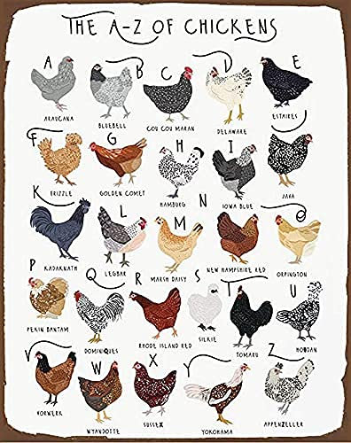 Huhn-Druck, Hühnerrassen-Kunst, Alphabet-Poster, Hühnerliebhaber-Geschenk, Hühnerplakat, Hühnerrassen-Farm-Hühnerstall-Dekor, Werkzeug-Blechschild, 20,3 x 30,5 cm