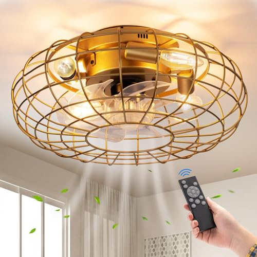 DISHENGZHEN Caged Ceiling Fan Light with Remote Control, 16 Flush Mount Industrial Farmhouse Bladeless Caged Ceiling Fan with Lights, 3 Speed Adjustable for Living Room,Bedroom,Dining Room gold