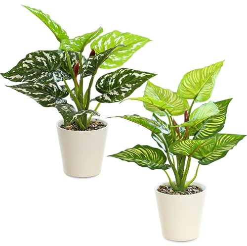 Juego de 2 plantas artificiales, plantas artificiales como auténticas 28 cm, plantas falsas, plantas de plástico como auténticas en maceta blanca, planta falsa para balcón, habitación, salón, cuarto