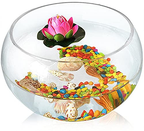 Tanque cilíndrico Redondo para Peces de Colores, ecológico, Creativo, de cristalvo, de Cristal, para Peces Tortuga Grandes, hidropónico, para Acuario, Tipo jarrón, para Peces Frescos (20 cm)