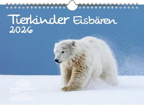 Tierkinder Eisbären DIN A4 Kalender für 2026 Eisbär - Geschenkset Inhalt: 1x Kalender, 1x Weihnachtsanhänger (insgesamt 2 Teile)