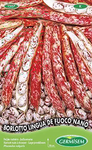 Germisem Borlotto Lingua de Fuoco Nano Semi di Fagioli Francesi 100 g