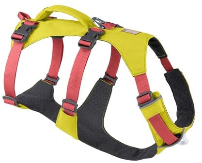 Ruffwear Flagline Hundegeschirr mit Griff, Lleichtes, Verstellbares Gehgeschirr, 3 Leinenbefestigungspunkte, verstärktes Gurtband und starker V-Ring aus Metall, Lichen Green (XX Small, 33-43cm)