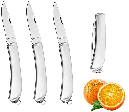 Fruit Knife, 4 Pack Small Kitchen Knife Sets, Sharp and Durable Folding Pocket Knife Vegetable Knife Set Paring Knife Small, Stainless Steel Fruit Knives Small for Most Vegetables, Fruits and Meat