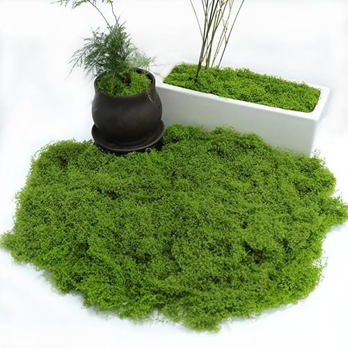 Pandiui23 200 grammi Muschio Artificiale Decorazione Simulazione Muschio Pianta Verde Artificiale Maualitá Simulazione Erba Artificiale Muschio per Decorazione Artigianato (1, Verde, 200 grammi)