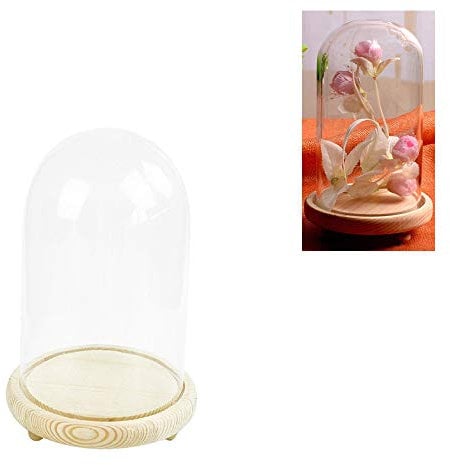 Warmiehomy Glass Cloche Bell Jar Dome with Wood Base Glass Domes for Display Suitable for forever flower doll and toys(Diameter 9cm, Height 25cm)