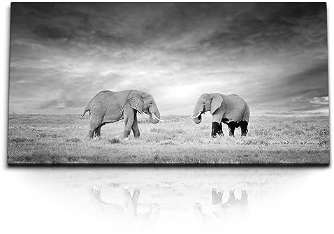Paul Sinus Kunstdruck Bilder 120x60cm Zwei Elefanten Schwarz Weiß Tierfotografie Afrika