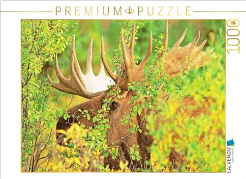 CALVENDO Puzzle Der Elch: König der Hirsche | 1000 Teile Lege-Größe 64 x 48 cm Foto-Puzzle für glückliche Stunden