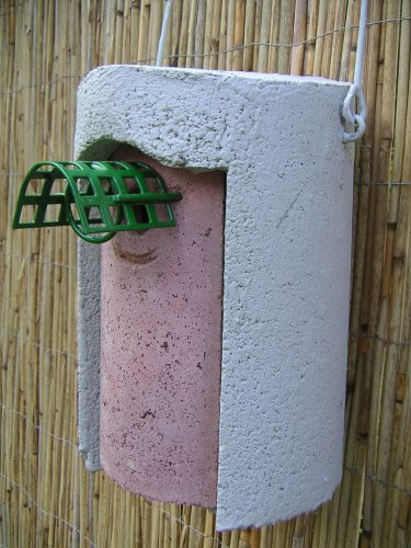 Nistkasten 1B, in weiß, Holzbeton 32 mm Flugloch mit Marderschutz