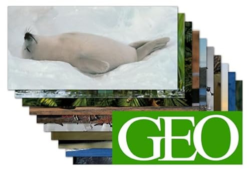 10er-Set: Postkarten PANORAMA +++ MIX SET Nr. 2 von modern times +++ 10 tierische GEO XXL-Motive +++ perfekt für POSTCROSSING +++ ohne deutschen Text!