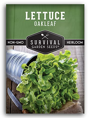 Oakleaf Lettuce Seeds for Planting - Loose Leaf Oak Leaf Lettuce Seeds for Garden Growing, Heat Tolerant High Yield Heirloom Non-GMO Variety - Survival Garden Seeds (1 Pack)