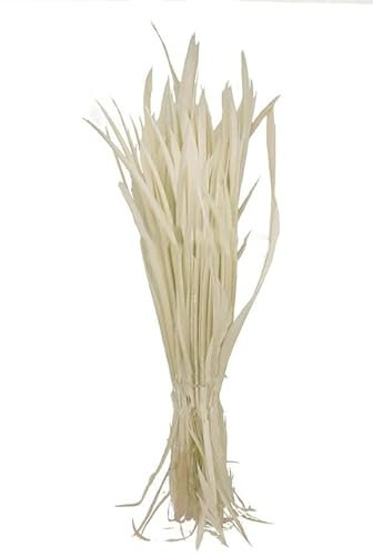 100 Stück 100% natürliche Gänsefedern 15-20 cm/6-8 Zoll mehrfarbig für DIY-Kostüm-Kopfschmuck-Gelber Zahn