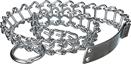 CG94 Hundehalsband 35 cm – leichter Typ – aus vernickeltem Eisen mit Leiter und Erkennungsmarke