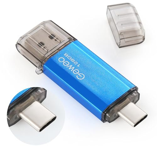 Chiavetta USB Tipo C 128 GB, 2 in 1 Type C Pennetta 128 giga USB C Pen Drive 128GB USB C Flash Drive 128GBper PC/New MacBook/Tablet/Smartphone Huawei, Samsung, Xiaomi,(Blu)