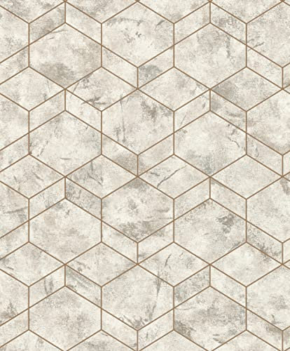 Rasch Tapeten Vliestapete (Grafisch) Grau goldene 10,05 m x 0,53 m Andy Wand 649642