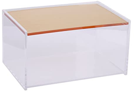 Premier Housewares Large Storage Box Storage Containers/Clear Acrylic Design Containers/Gold Finish Outdoor Storage Containers Dimensions W18 x D12 x H10cm.