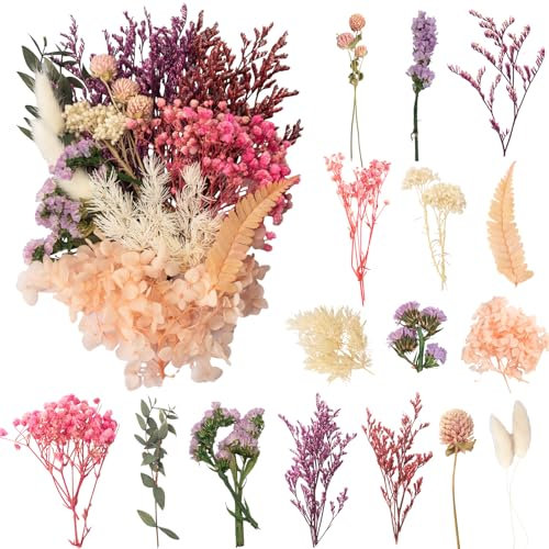 LAUMOE Fleurs Séchées, Fleurs Sechees Naturelles Fleur Séchée pour Bougies Fleurs Sechees Fleurs Séchées Vrac Fleur Sechees Decoration pour Bricolage Résine Epoxyn Art DIY Artisanale Scrapbooking