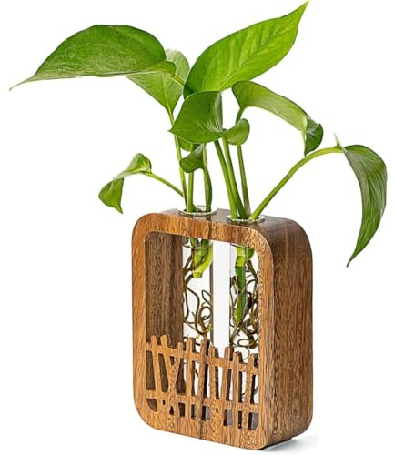 Bosiyrggrl Terrario de Madera de Nogal con 2 Jarrones de Vidrio y Soporte Bohemio para Plantas Hidropónicas, Decoración de Escritorio para el Hogar y la Oficina.