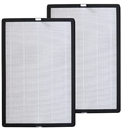 PUREBURG BAP20 Replacement True HEPA Filters Compatible with Bagotte Air Purifier BAP20, Part Number BAP20-HF,H13 Activated Carbon,2-Pack