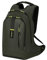 Samsonite Paradiver Light - Mochila para Portátil L+ de 15,6 Pulgadas, 48 cm, 24 L, Color Verde Selvático, Laptop Backpack L+ (15.6)