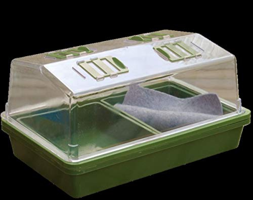 Mini Serre chauffante - 39 x 25 x 20 cm