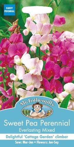 Mr Fothergills - Pictorial Packet - Flower - Sweet Pea Everlasting Mixed - 20 Seeds