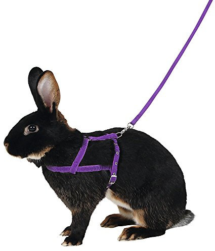 Kerbl Shoulder Harness Agility with Leash, Medium, 2 m
