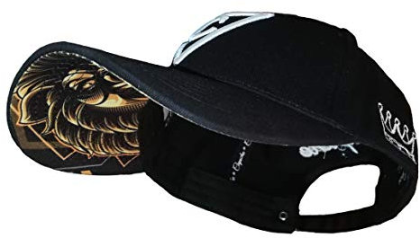 Capiche [13 VARIATIONEN] Basecap Cap - Kappe Baseball Mütze Kunst Unisex Schirm Männer One Size Herren Damen Mighty Lion