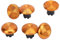 Levette in Metallo for Edge, for Pro Elite, for per Pro, for Xboxone, for XboxSeries, Joystick con Levetta (GOLD)