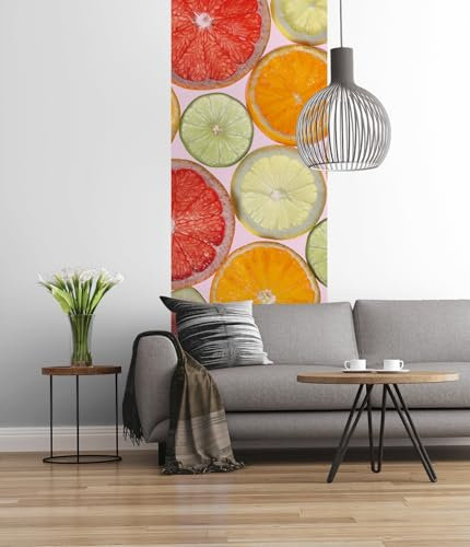Komar 1098-DV1 Fotomural, Colorido, 100 x 280 cm (Breite x Höhe)