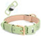 WHIPPY AirTag Hundehalsband Leder Verstellbares AirTag Halsband Leder mit Gepolstert und Metall Schnalle Klassisches Weiches Air Tag Hundehalsband für Welpe Kleine Mittel Große Hunde Grün,S