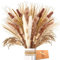Pampasgras Getrocknet - Natürliche Trockenblumen, Braun Pampasgras Flauschige Wedel, Lagurus und Schilfblume Trockenblumen Strauß Dried Flowers, für Blumen Arrangements Heim Decor