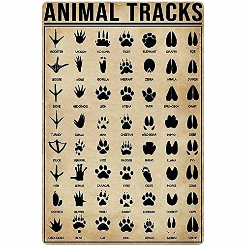 Tierspuren Animal Footprint Knowledge Metallblechschild Jagdkarte Poster Farm Outdoor School Club Wanddekoration Plaque 8x12 Inches