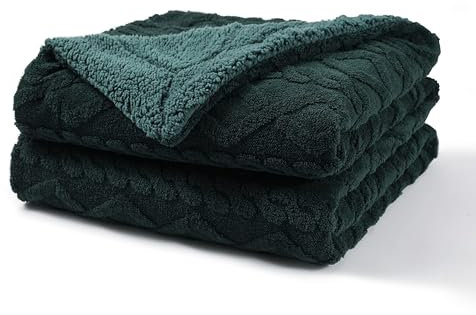 Pagnanno. - Sherpa Teddy Fleece Blanket - Fluffy Double Layered Bed and Sofa Throw - Thick, Warm & Extra Soft - For Families, landlords and Couples (Emerald Green, Double (150x200cm))