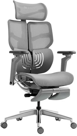 HINOMI X1 Ergonomic Office Chair with Footrest - Computer Desk Chair for Home Office, Comfy Office Chair with Back Support, Computer Chair for Home, Study Chair, Mesh Office Chair (Grey, L)