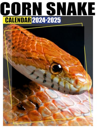 Corn Snake Calendar 2024 - 2025: Plan Your Year with Monthly Jan 2024 to Dec 2025, Beautiful Photography - Perfect for Gifting