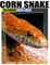 Corn Snake Calendar 2024 - 2025: Plan Your Year with Monthly Jan 2024 to Dec 2025, Beautiful Photography - Perfect for Gifting