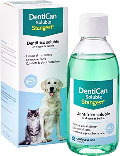 STANGEST DentiCan Soluble | Dentífrico Soluble para Perros y Gatos | Higiene Bucal | Elimina Mal Aliento | Controla la Placa y Sarro | 250 ml
